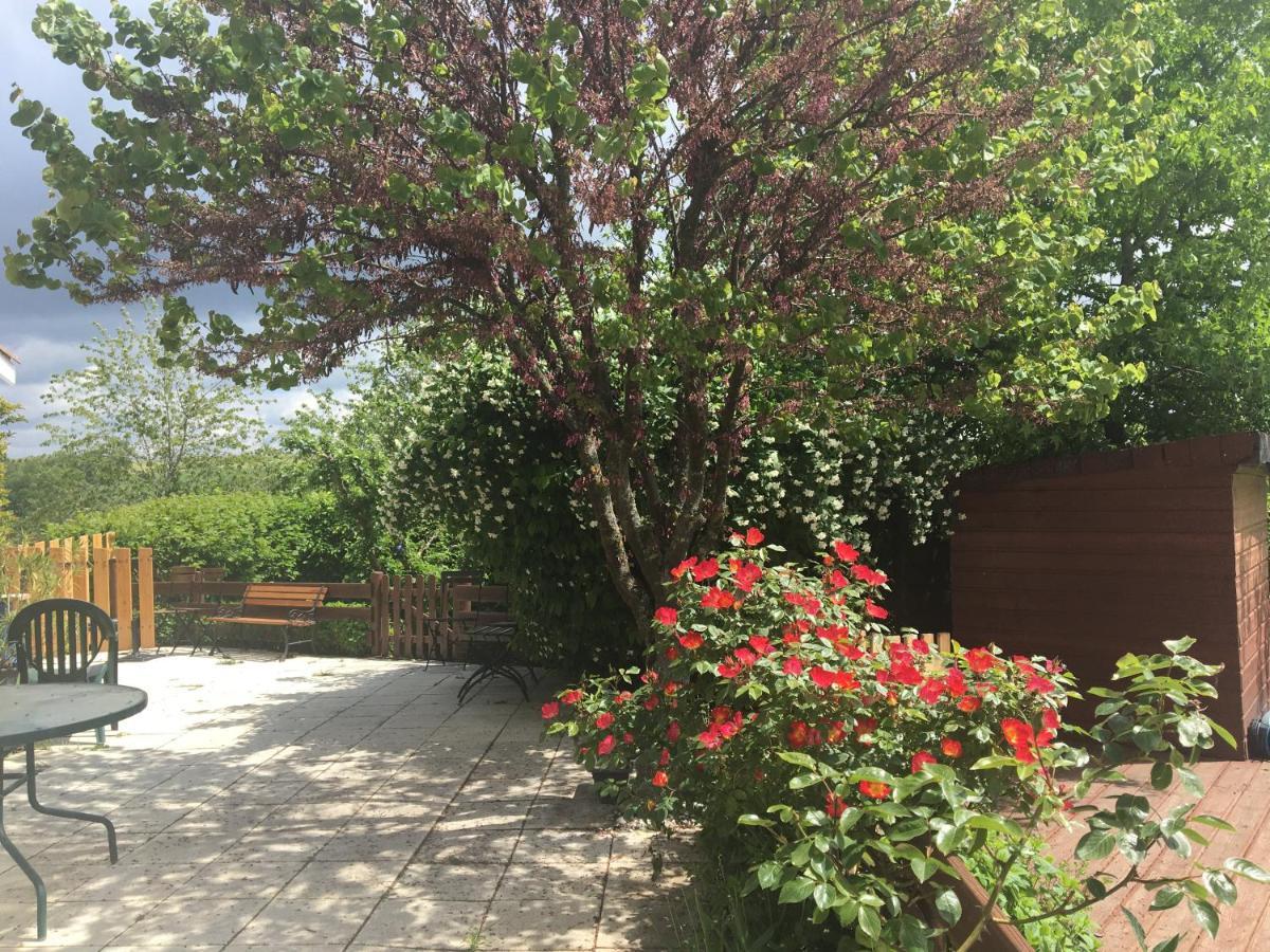 Maison D'Hotes L'Escale Du Loup Blanc Maringes Buitenkant foto