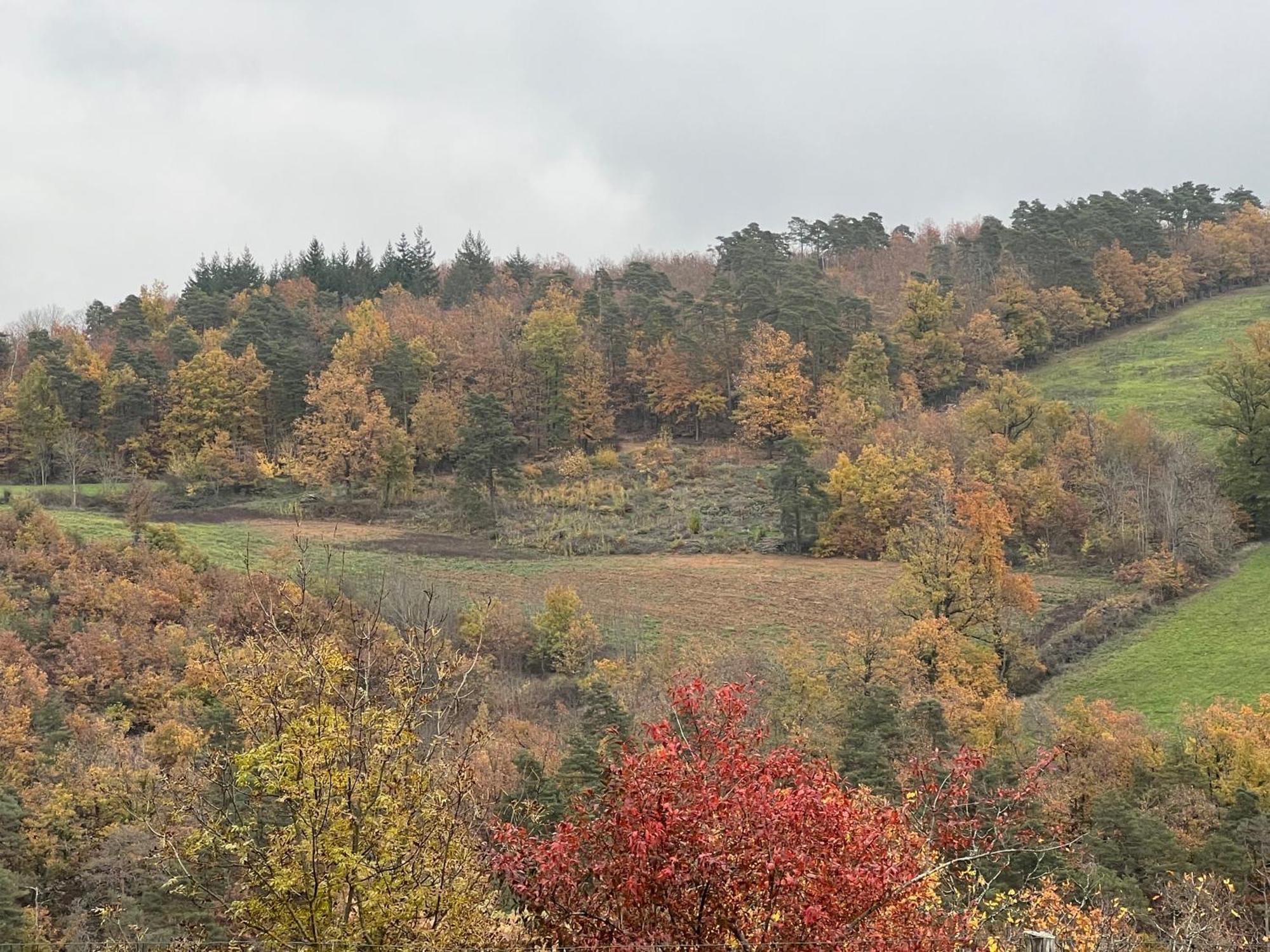 Maison D'Hotes L'Escale Du Loup Blanc Maringes Buitenkant foto